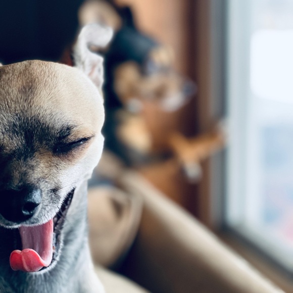 Meet your Posher, Jesseandmegan - Picture 1 of 1